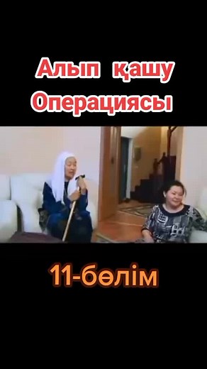 Алып қашу операциясы 11-бөлім