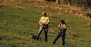 Dart Mining hones in on porphyry targets thanks to soil sampling at Granite Flat