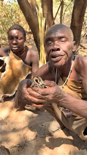 The Arrow That Changed the Tribe Forever#shurtsvideo