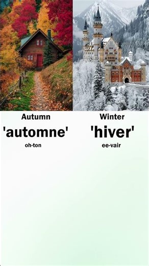Names of seasons in French language. #frenchlearning