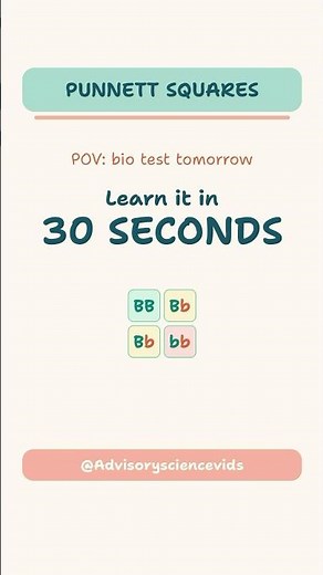 Punnet Squares Made Easy #biologypaper2 #shorts