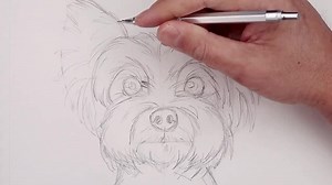 Artisan BD✨ on TikTok