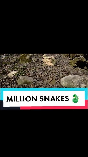 Interesting Facts About Mione Joy9 Price in Uganda