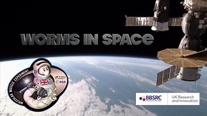 Here's why SpaceX will launch thousands of worms to the ISS