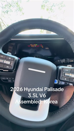 that poor child #hyundaipalisade #valet