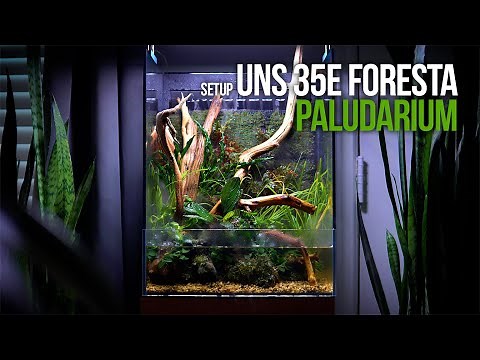 UNS 35E Foresta Paludarium Setup - Build a Paludarium From Start to Finish