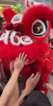 2026 CNY Lion Dance in Sentosa 舞狮圣淘沙拜年 #舞狮 #liondance