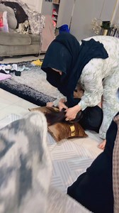 1.1K views · 666 reactions | Bapsil smaa owner bertengkar di ranjang , dia sibuk tong si bertengkar di luar 藍藍藍藍 | Darma Darwis | Facebook