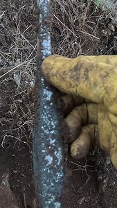 273K views · 1.3K reactions | Define Kapağın Altında......