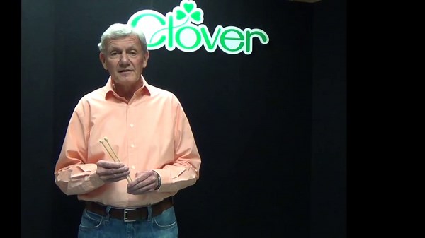 Bamboo Circular Knitting Needles Takumi, 9-Inch Size 0