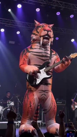 What would you do with an inflatable tiger costume? #tiger #inflatabletiger