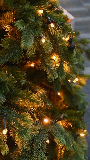 December 11 of our 12 Tools of Christmas ❄️🎄 Move more snow in fewer passes with the Bully Tools 27" Snow Pusher. Wide blade. Heavy-duty build. American-made strength that doesn’t crack, fold, or quit in heavy, wet snow. Get 15% off with code: 12Days ⏰ Offer ends Dec 12 at midnight 👉 Clear your driveway faster: https://bit.ly/4hIxTkq #BullyTools #12DaysOfChristmas #SnowPusher #27InchSnowPusher #SnowRemoval #WinterPrep #MadeInUSA | 100% Made in the USA Bully Tools