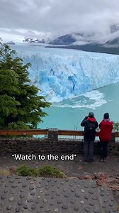 When you just want to watch nature and even that falls apart... Funny Videos Want to be featured? Message us videos you filmed to be featured on the page! | Funny Videos