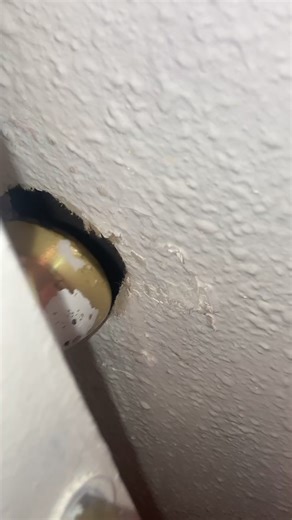 fidgetpoopooheads on TikTok