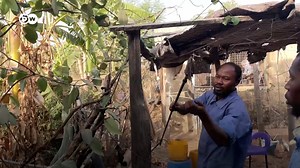 2.8K views · 180 reactions | An engineering student says he can turn plastic into petrol in Ghana's Wa town. It's a plan he hopes can solve Ghana’s plastic waste menace. | DW Africa | Facebook
