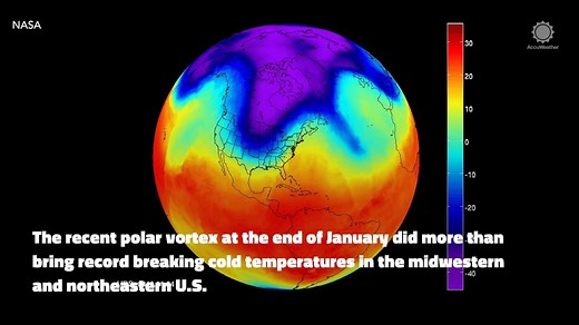 You tell us, if the Polar Vortex came through your neighborhood, did it kill your bugs? READ MORE: http://ow.ly/jnFW30nIfQb | AccuWeather