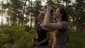 Florida State University TV Spot, 'We Are Florida State University'