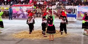 Danza de la Trilla en Huancavelica, danza agrícola, representa la cosecha del trigo