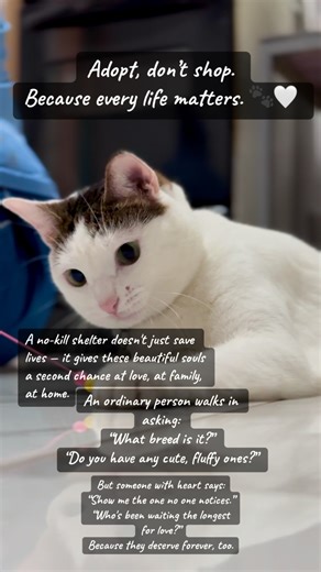 Animals Alive on Reels