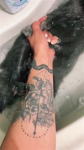 Cat Bathing Tips: How to Wash Your Feline Friend