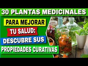 👉🍃 30 PLANTAS MEDICINALES y su uso 💚
