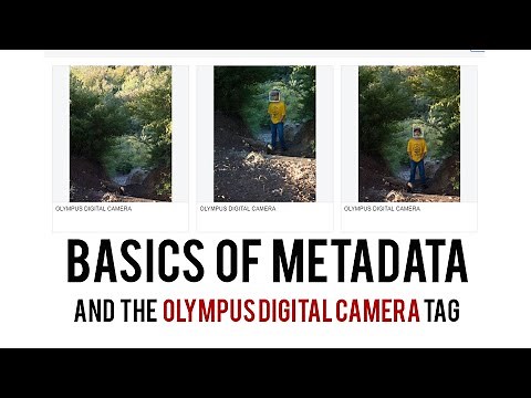 Basics of editing and managing your metadata - Olympus OMD
