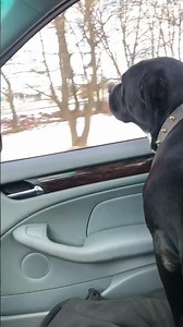 2004 BMW 325i e46 m56