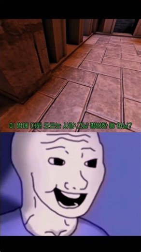 [DOORS]-아직도 풀리지 않은 이 방의 미스터리.....도대체 무슨 방일까? #roblox #도어즈