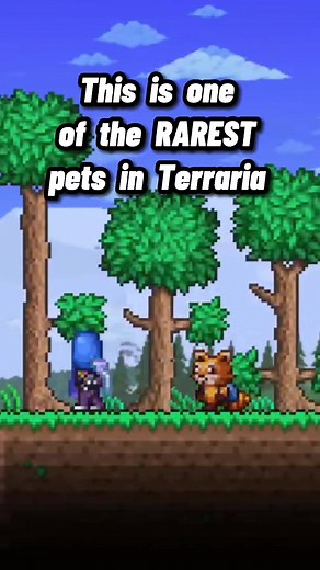 Discover the Rarest Pets in Terraria 1.4.4 | Gaming Fun with Terrariamemes