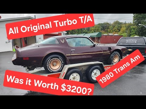 Iconic Classic Car! Rare untouched 1980 Turbo Trans Am! Did I pay too much? I paid $3200. Barnfind.