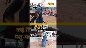 130K views · 6.1K reactions | Special Stories: दिल छू लेगी किन्नर हिना बाई की कहानी | #Local18Shorts | News18 Rajasthan | Facebook