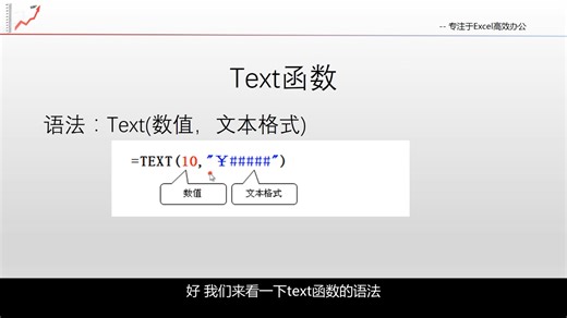 2.1.17 Text 函数应用：如何设置自定义文本格式「Excel2016自学教程」(函数公式篇)
