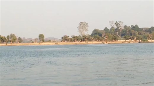 在湄公河遇见伊洛瓦底江豚