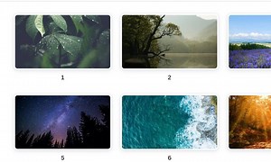 10 Nature Background for MS Teams, Zoom, Webex, Video Conferencing, or Desktop Wallpaper - Etsy Canada