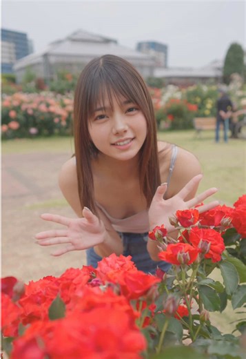 てんとう虫のサンバとお散歩の日常