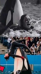 the truth about Jessica's death, who was attacked and killed by her orca