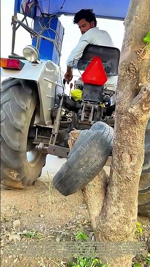 Pulling Against the Roots: Why a High-Powered Tractor Fails to Uproot a Tree