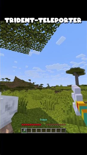 teleport command #minecraft