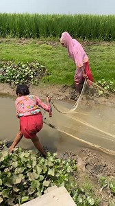 15K views · 69 reactions | Village 74 on Reels | Facebook