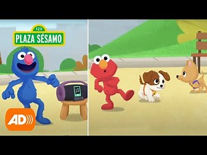 Plaza Sésamo: ¡Juega al baile congelado! | Elmo y Tango Amigos Peludos por Siempre