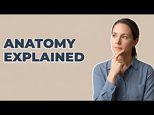 What Is Female External Genitalia?