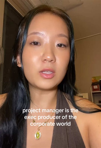 Project Manager: The Executive Producer of Corporate Success