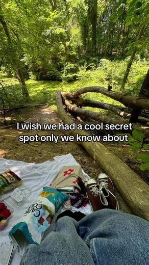 Exploring Hidden Forest Spots