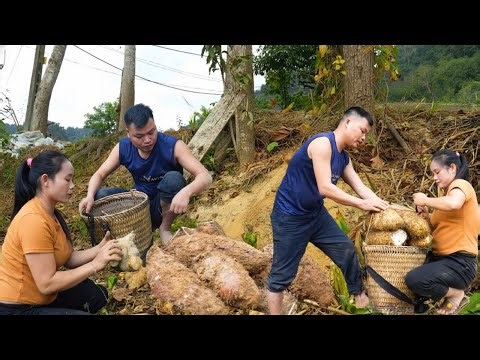 Stewed Wild Root Vegetables with Bones – Exploring Deep Taste & Traditional Cooking