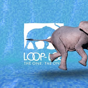 There’s always time for a refreshing dip in the pool! 🥽 If LOOP-LOC is part of your backyard oasis, snap a pic and share it with us! We may just feature your photo on our social media pages! #looploc #pool #backyardoasis #dreampool | LOOP LOC SWIMMING POOL PRODUCTS