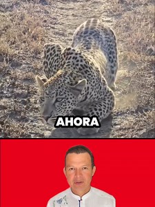 20K views · 67 reactions | Este hombre #fecbookreelsfantes #reelsviral #viralpost #viralreelschallengepreparan | Asmed blog | Facebook