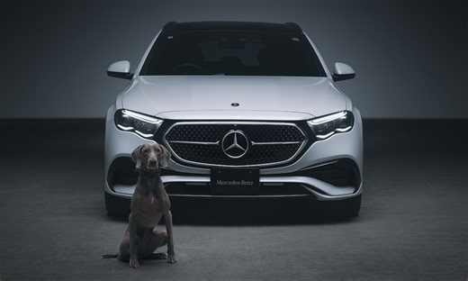 メルセデス・ベンツがペットにも快適な理由 | GQ JAPAN