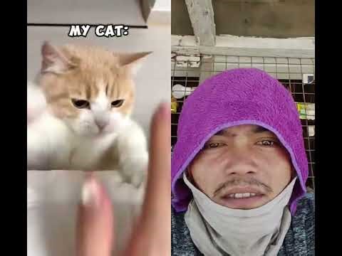 #REgIE tv# ka cute ni memeng 🐈#subscribe #duet #shortvideo #sharevidoe