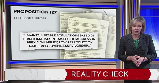 Proposition 127 would ban the hunting of big cats in Colorado