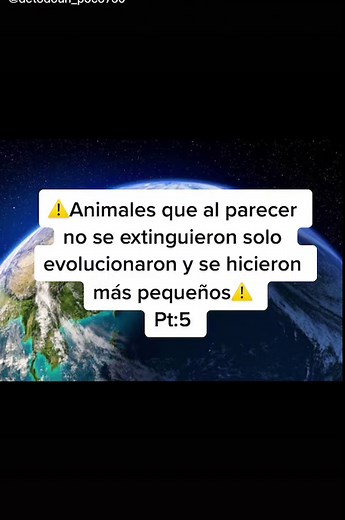 Pt:5 😨#virall #paratii #datos #datosperturbadores #evolucion